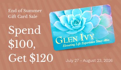Buy Gift Cards