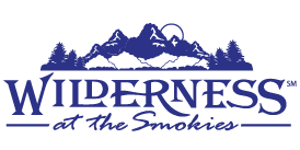 Wilderness at the Smokies Logo